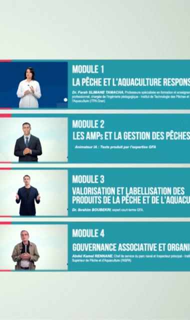 Mooc 2 Mooc 2