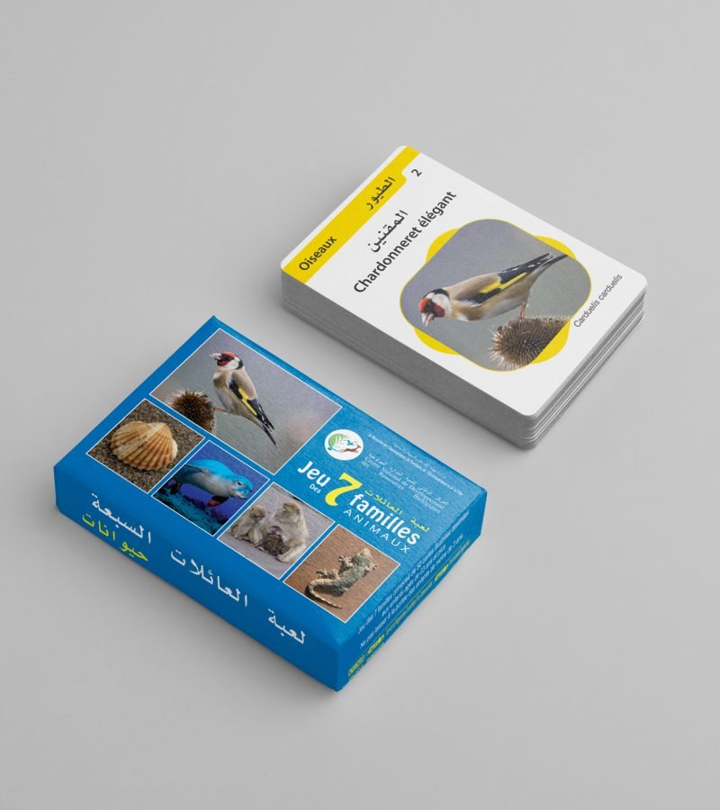Mockup_jeux-de-cartes_animaux-bleu-1
